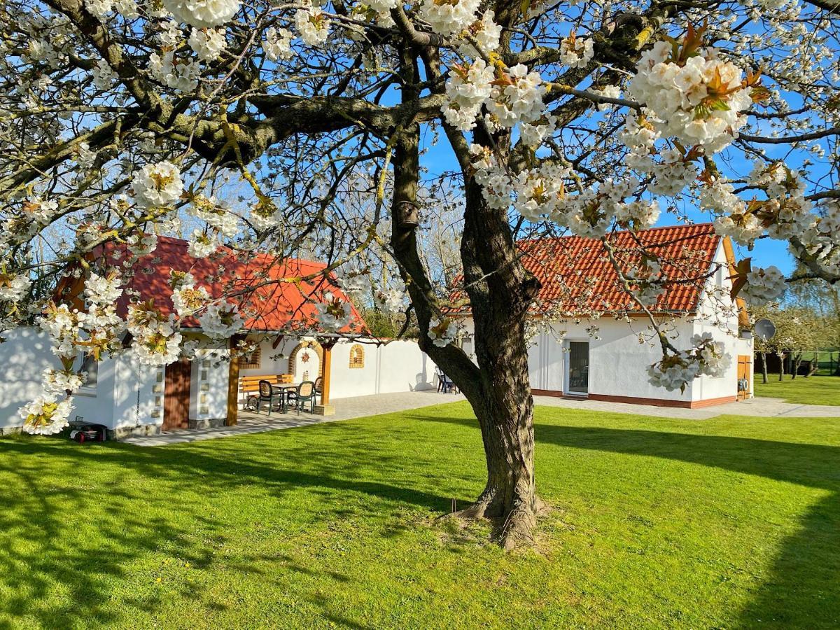Ferienhaus Berta Зассніц Екстер'єр фото